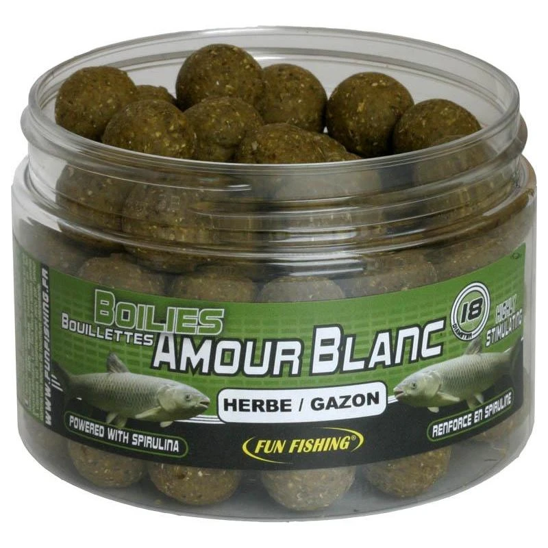 BOILIES FUN FISHING 1 BOILIES FUN FISHING