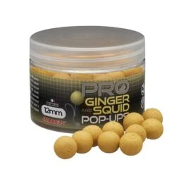 BOUILLETTE FLOTTANTE STARBAITS PROBIOTIC PRO GINGER SQUID POP UP