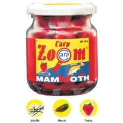CORN CARP ZOOM MAMMOTH