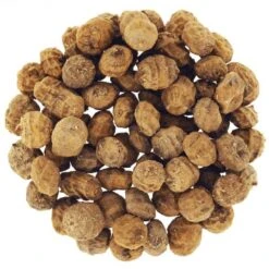 SEED DRIES CAP RIVER TIGERNUTS